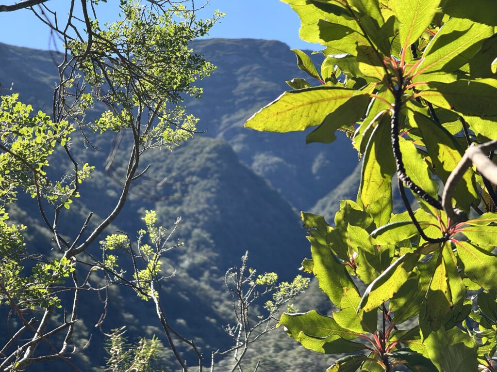 PR9 Levada do Caldeirão Verde wandelroute op Madeira