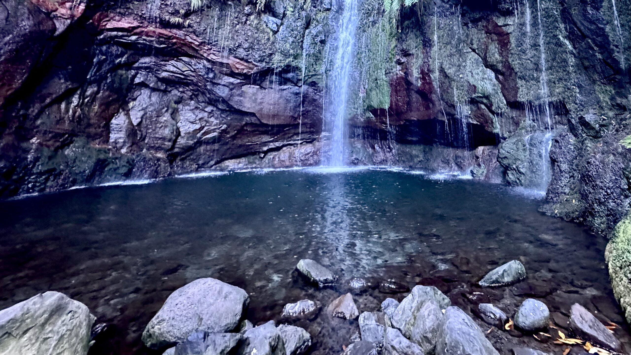 Wandelroutes op Madeira: waarom deze op onze bucketlist staan
